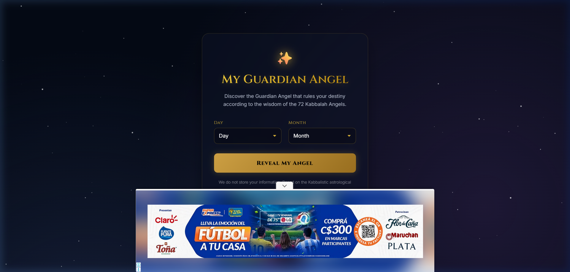 Mi Angel Protector Project